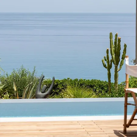 Palm Tree Private Pool